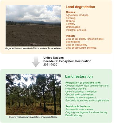 Frontiers | The Restoration Of Degraded Lands By Local Communities And ...